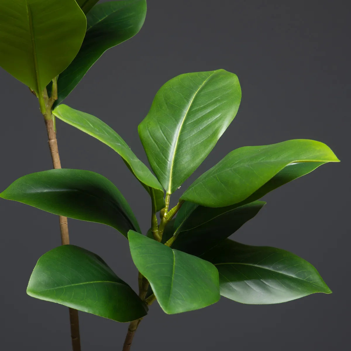 ficus lyrata artificial