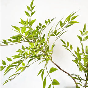 Planta Artificial Galhos de Bamboo de Decoração Garden 110 CM