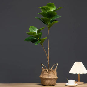 vaso com ficus lyrata artifical