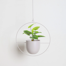 Vaso de Planta Decorativo Suspenso
